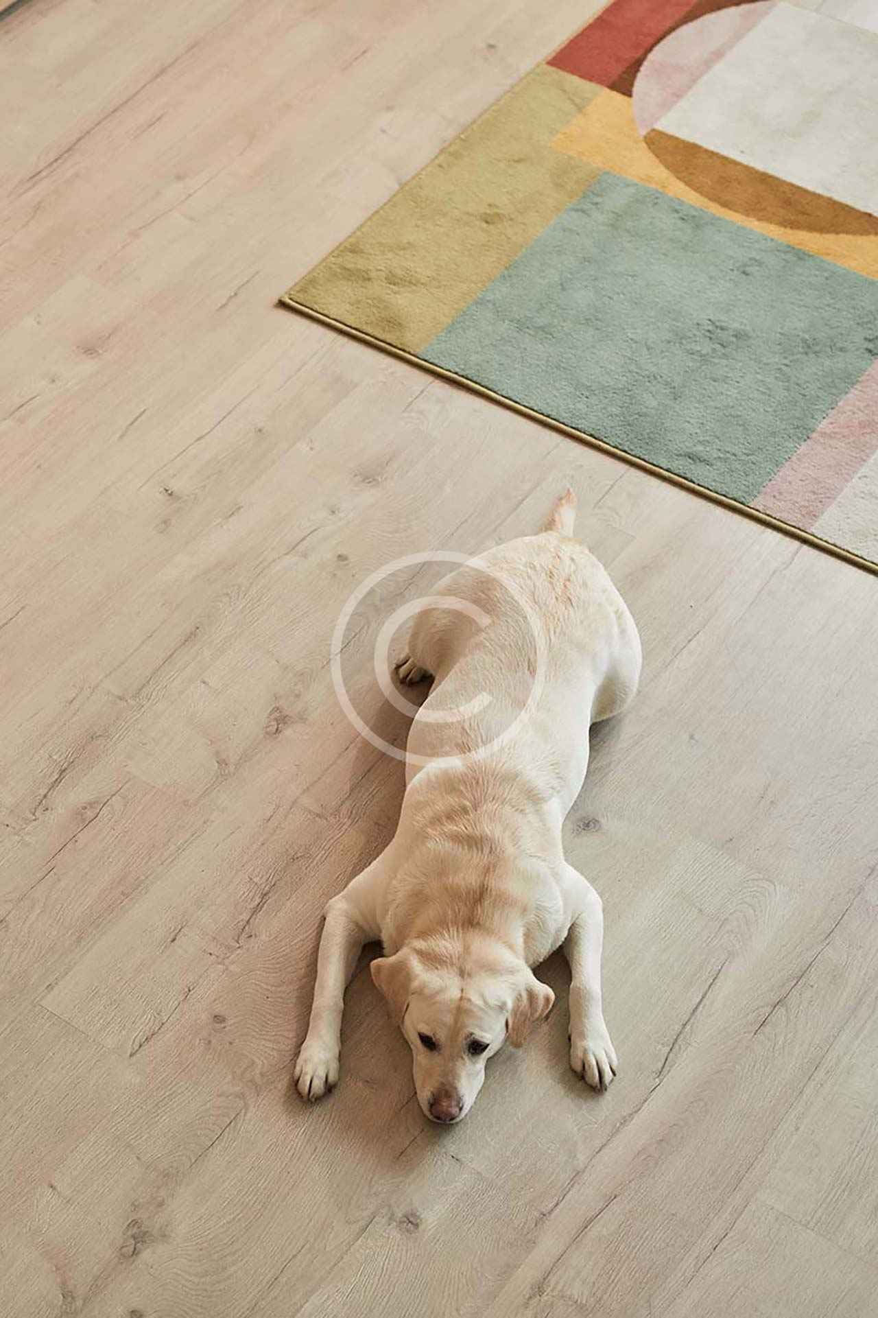 Bespoke African-Inspired Textures and Designs